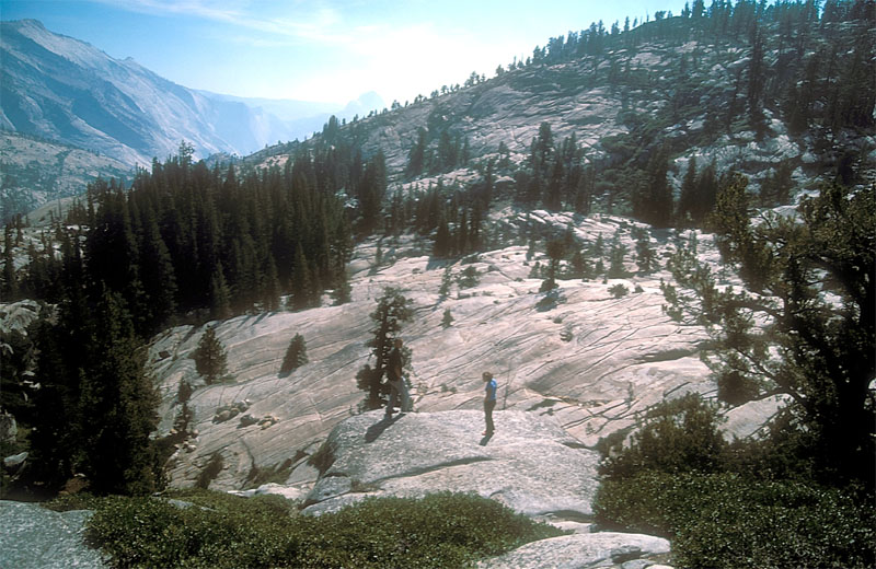 Tuolumne Meadows