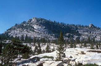 Tuolumne Meadows