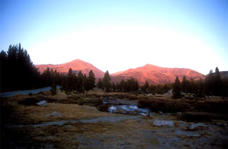 Tuolumne Meadows